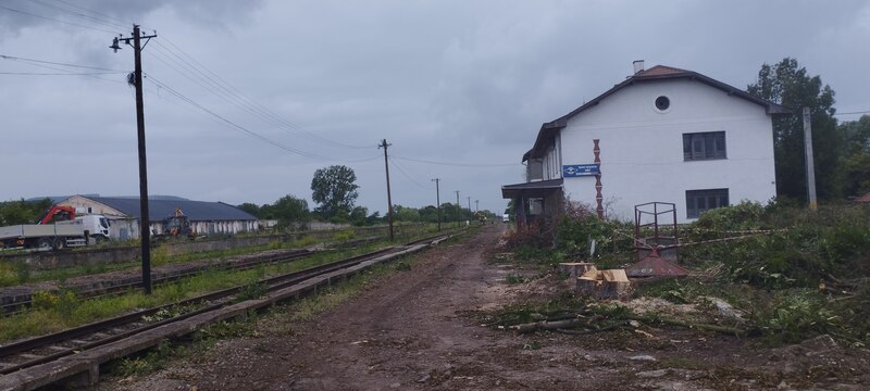 vadu crisului 13.jpg
