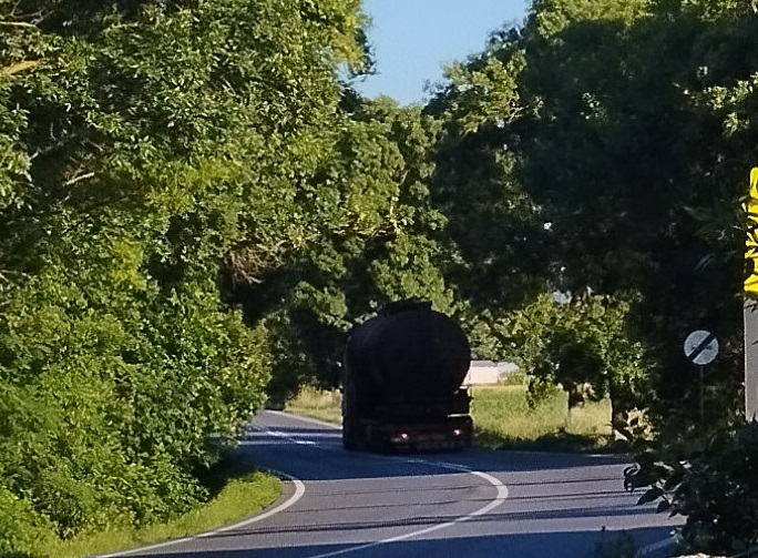 Camion Zaes.jpg
