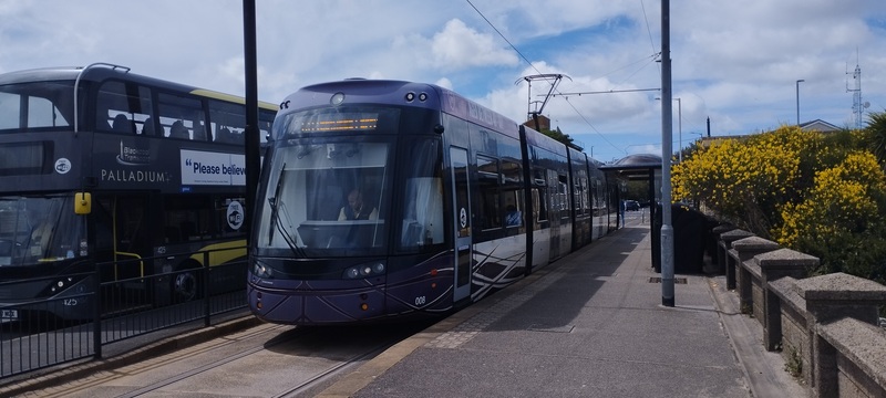 BT 008,1.jpg