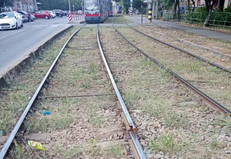tramvai-sina-200824.jpg