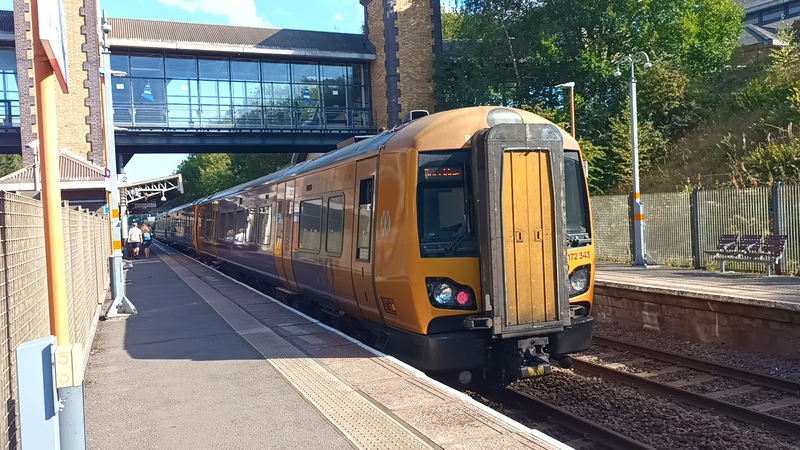 WM 172 343.jpg