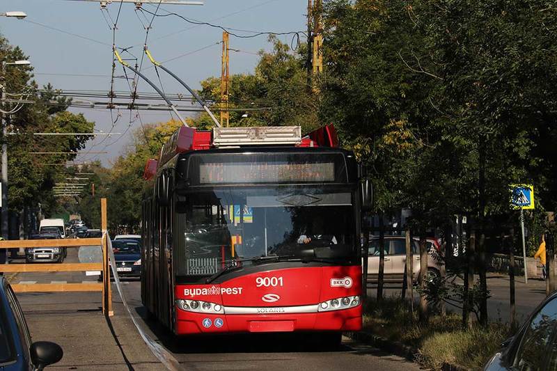 8963_17.jpg