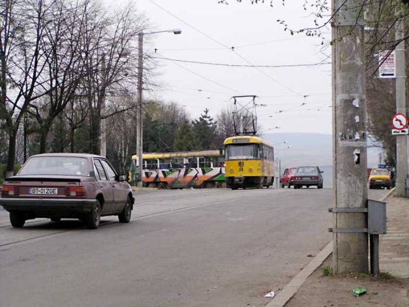 382.jpg