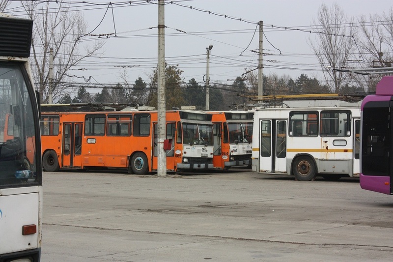 1IMG_5229.jpg