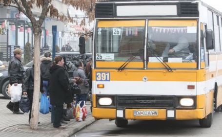 391.jpg