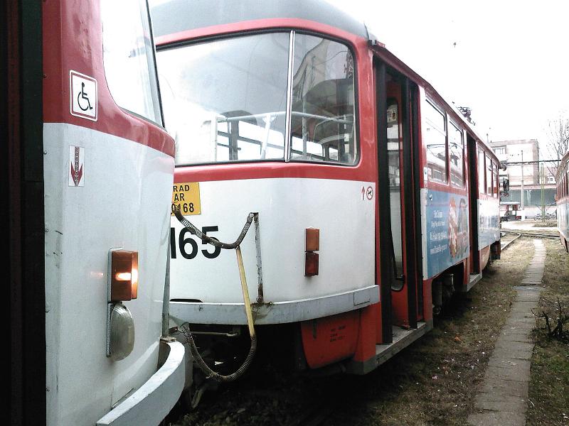 3-1165_spate_545.jpg
