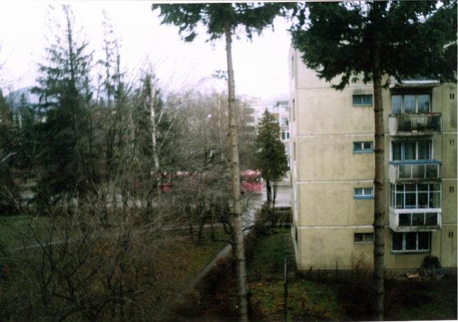3_11.JPG