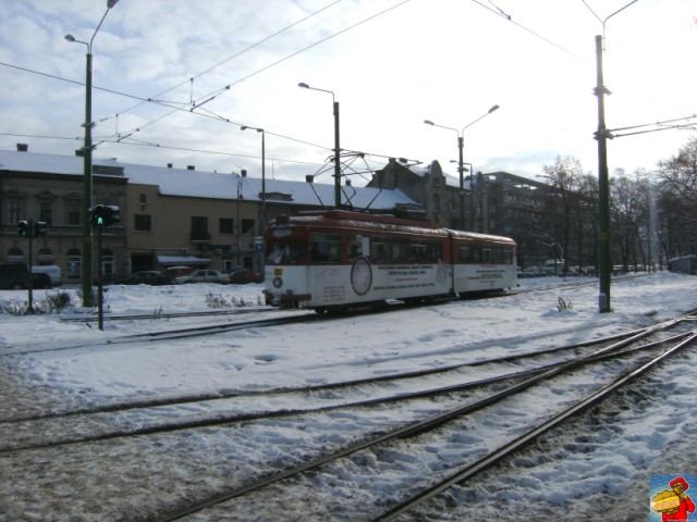 3-dscf1950_554.jpg