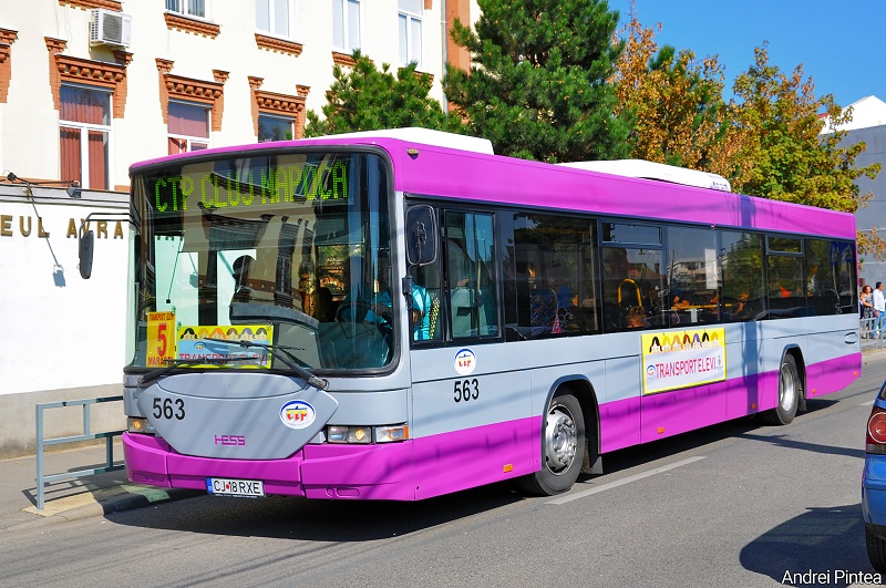 563.JPG