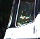 IMG_20170724_155921_031 - Copy.jpg