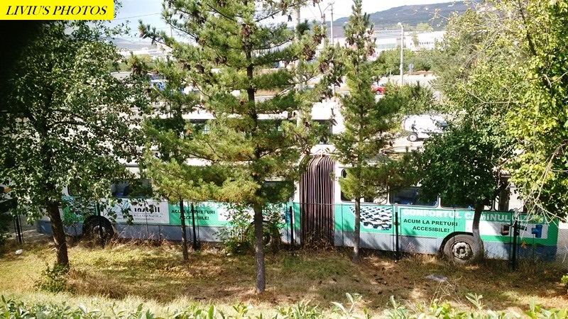 055 stare buna.jpg