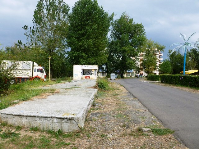 P1000981-Copy.jpg
