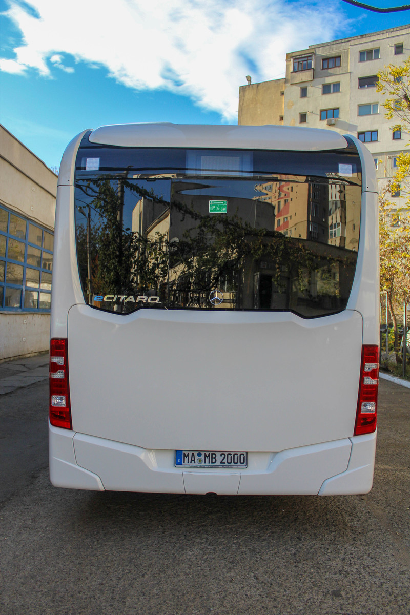 IMG_5600.jpg