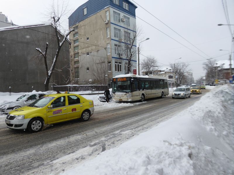 Zabada mare, Bucuresti, 11 ianuarie 004.jpg