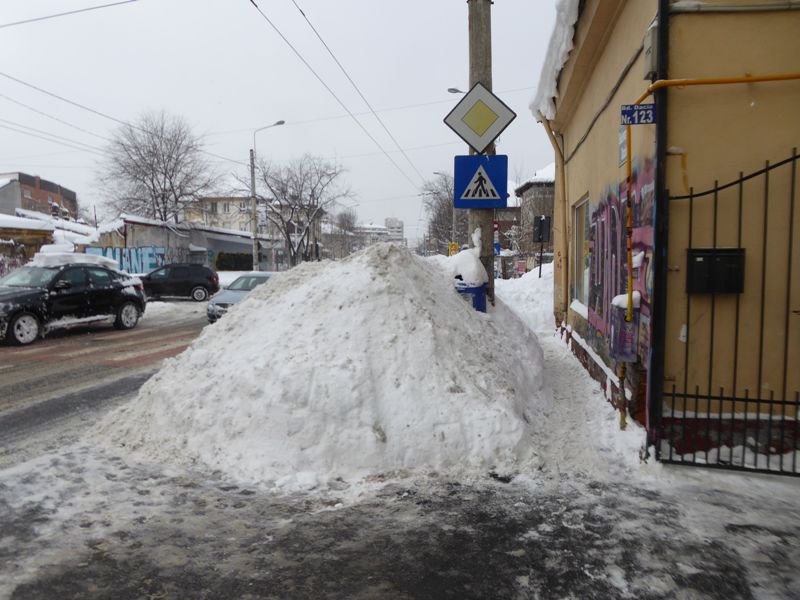 Zabada mare, Bucuresti, 11 ianuarie 006.jpg