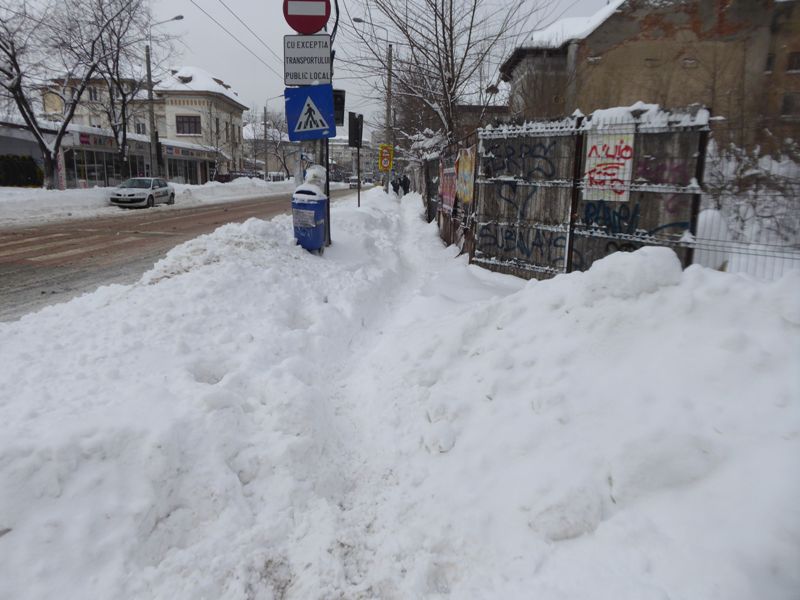 Zabada mare, Bucuresti, 11 ianuarie 009.jpg