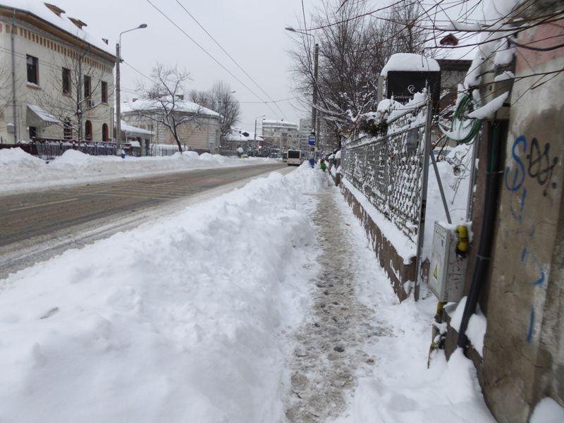 Zabada mare, Bucuresti, 11 ianuarie 013.jpg