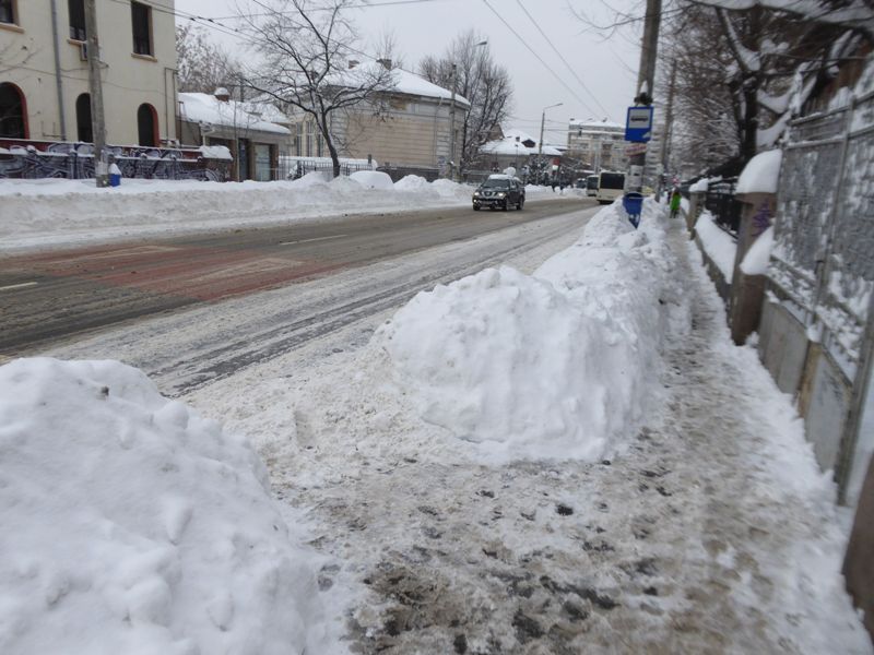 Zabada mare, Bucuresti, 11 ianuarie 014.jpg