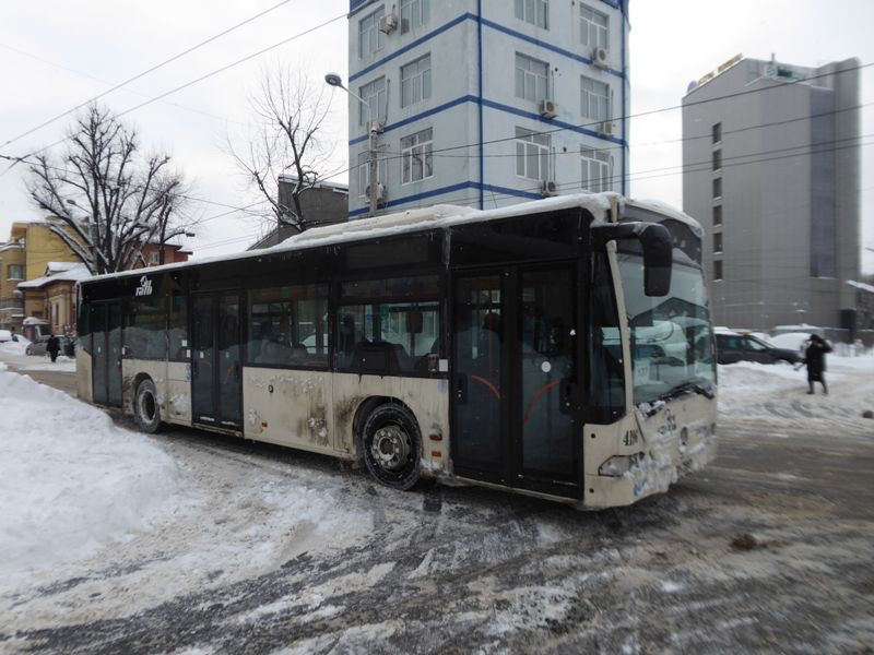 Zabada mare, Bucuresti, 11 ianuarie 010.jpg