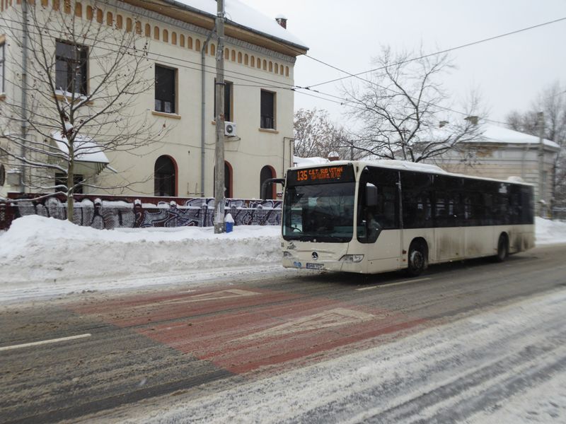 Zabada mare, Bucuresti, 11 ianuarie 016.jpg