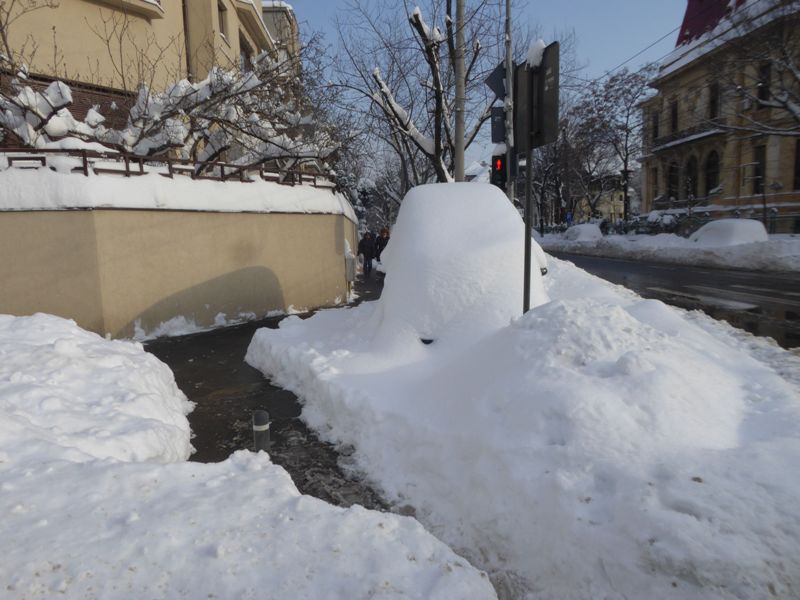 Zabada mare, Bucuresti, 11 ianuarie 046.jpg