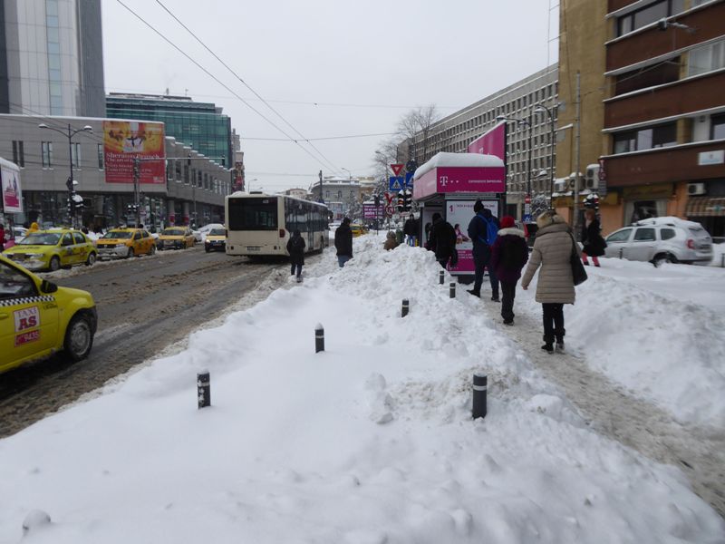 Zabada mare, Bucuresti, 11 ianuarie 022.jpg