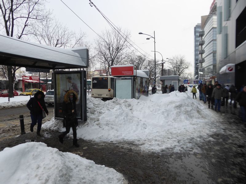 Zabada mare, Bucuresti, 11 ianuarie 036.jpg
