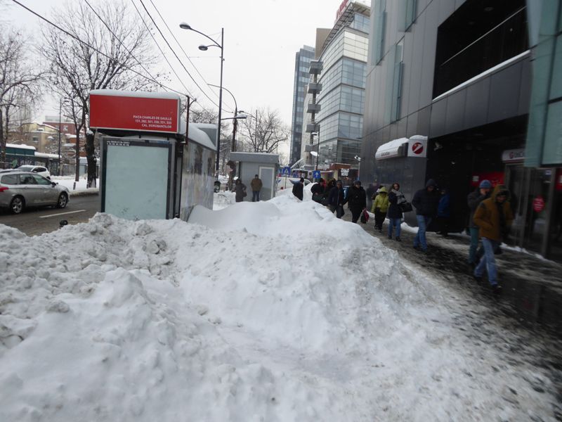 Zabada mare, Bucuresti, 11 ianuarie 037.jpg