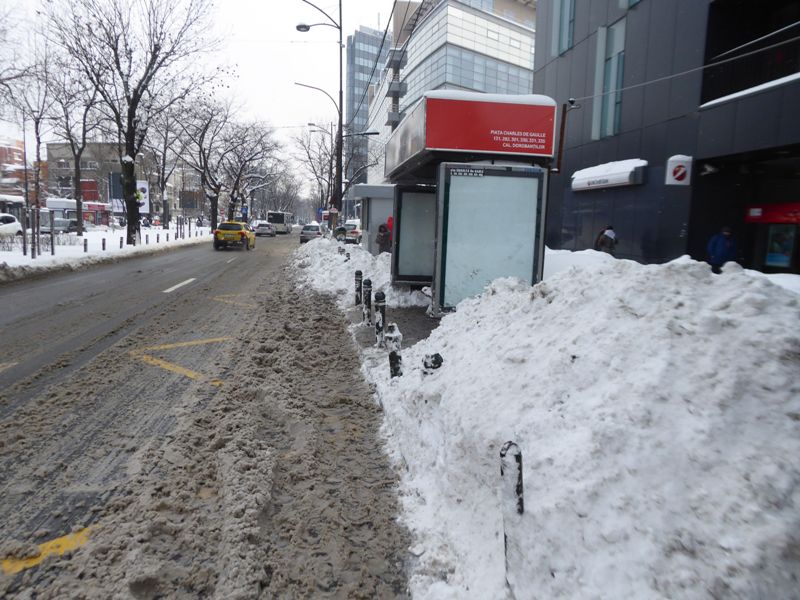Zabada mare, Bucuresti, 11 ianuarie 039.jpg