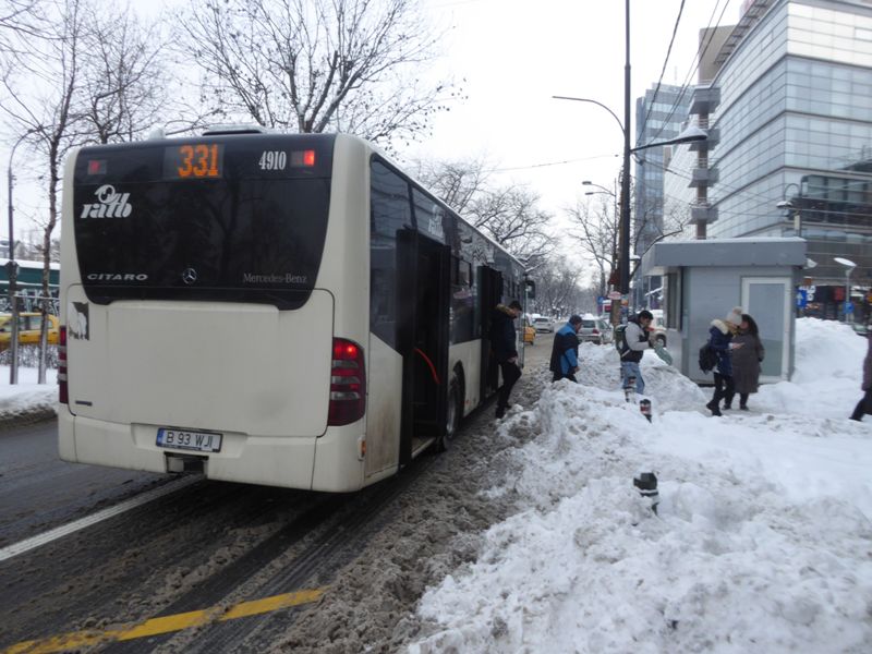 Zabada mare, Bucuresti, 11 ianuarie 042.jpg