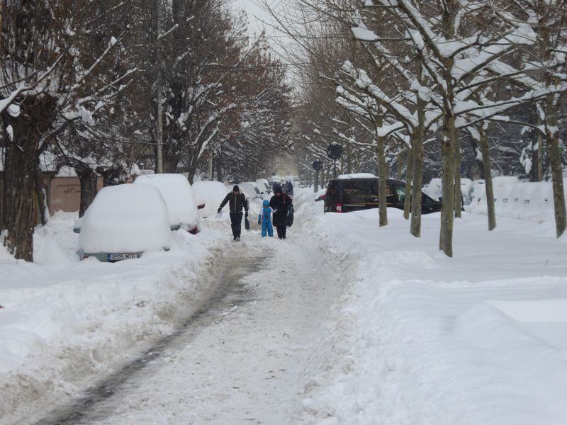 Zabada mare, Bucuresti, 11 ianuarie 035.jpg