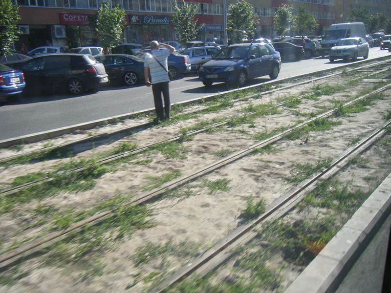 Bucuresti, 6 iunie 005.jpg