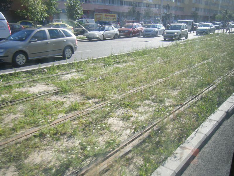 Bucuresti, 6 iunie 006.jpg