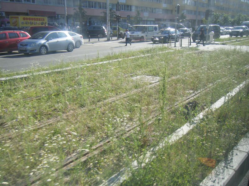 Bucuresti, 6 iunie 007.jpg