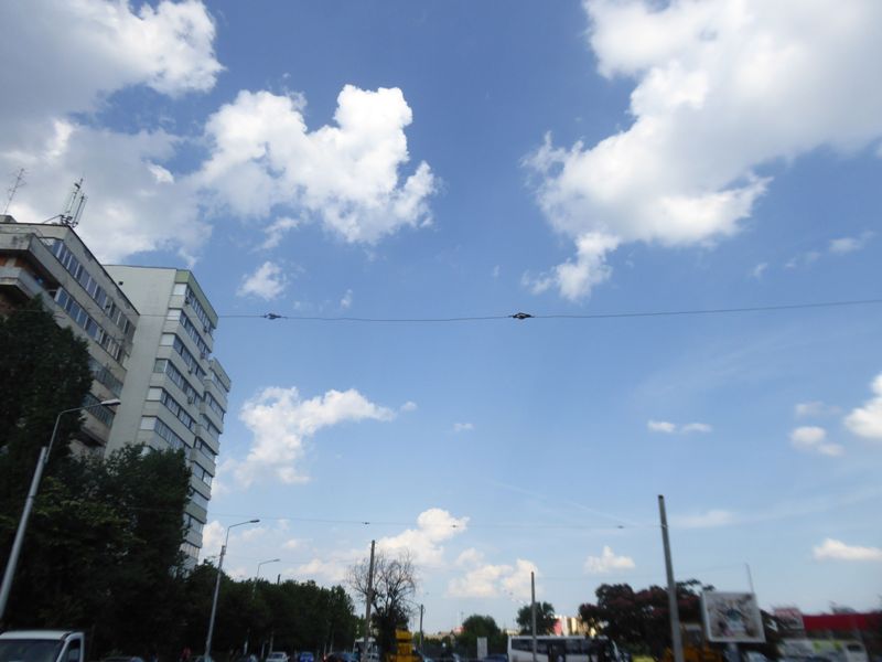 Bucuresti, 16 iunie 009.jpg