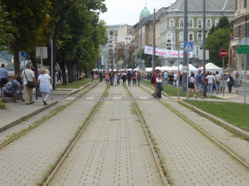 Budapesta, 20 august 111.jpg