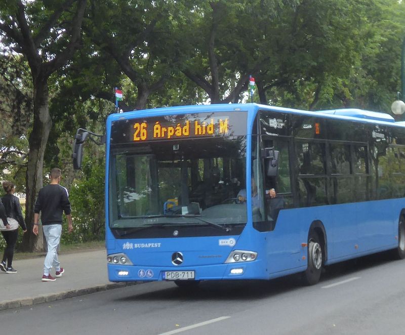 Budapesta, 20 august 086.jpg
