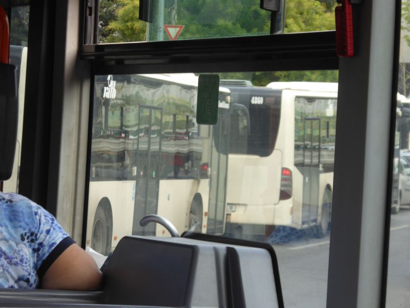 Bucuresti, 29 august 002.jpg