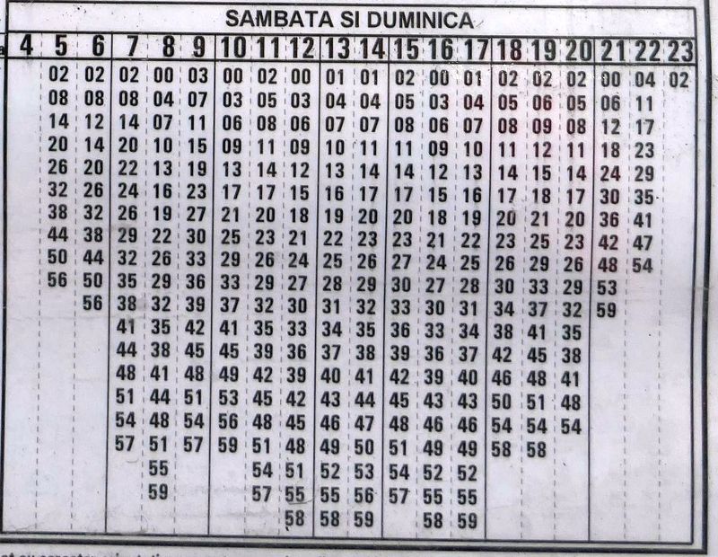 Bucuresti, 24 noiembrie 006 (zoom).jpg