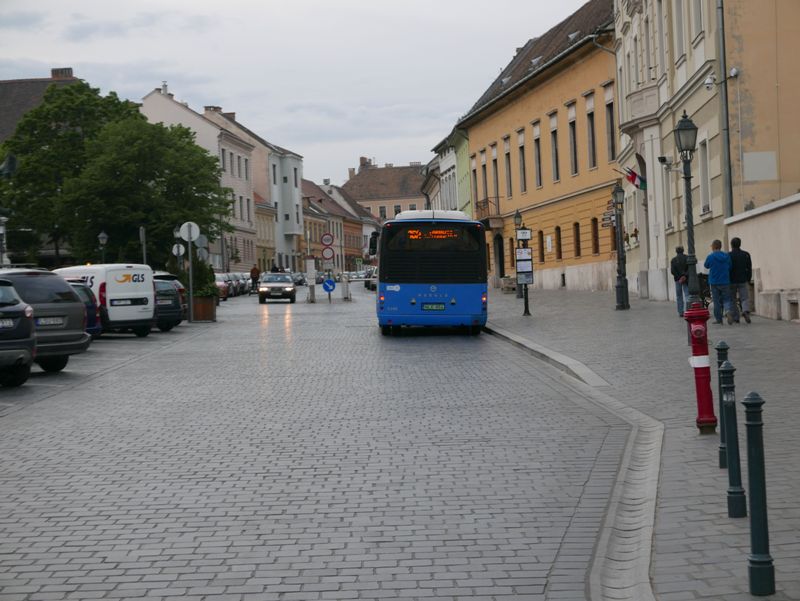 Budapesta, 30 aprilie 117.jpg