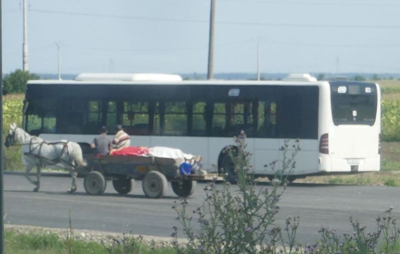 Islazi, 5 august 001.jpg