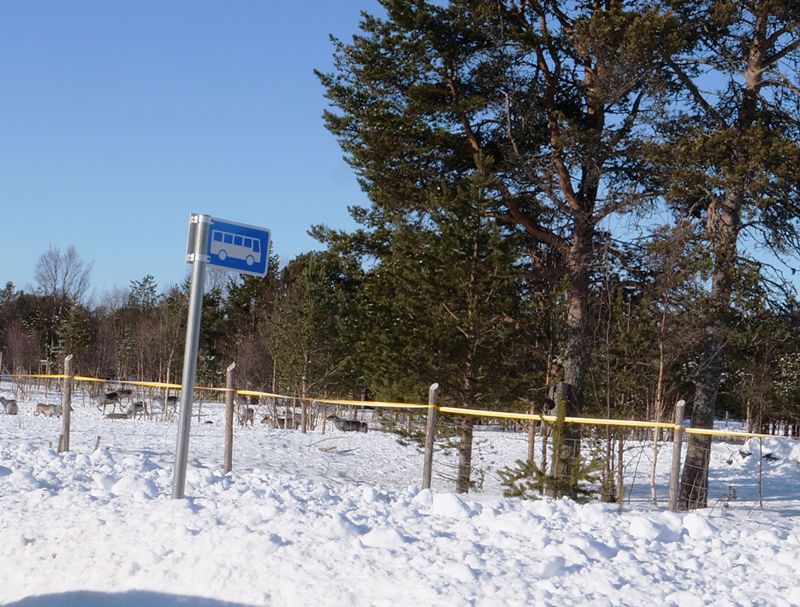 3 Finlanda, 13-17 martie 003.jpg