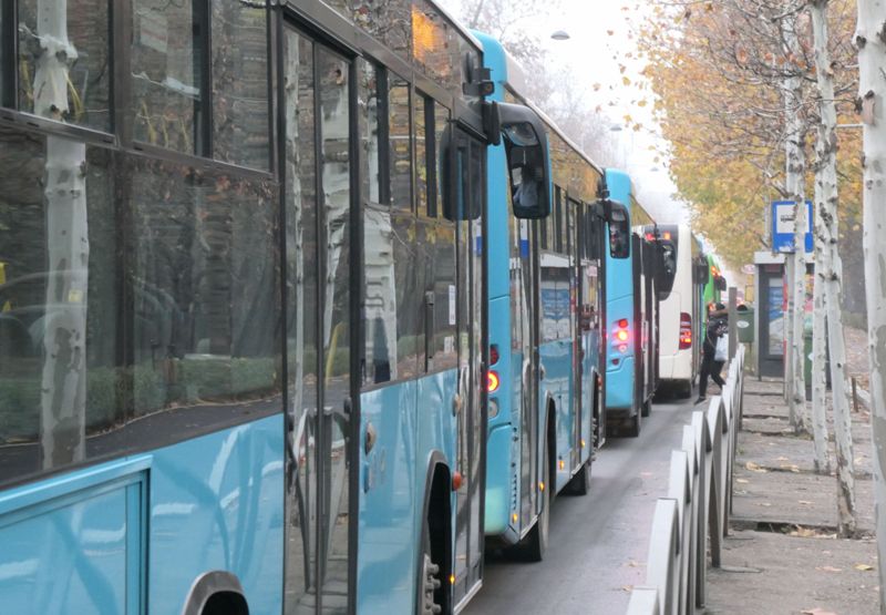 Bucuresti, 9 decembrie 008.jpg