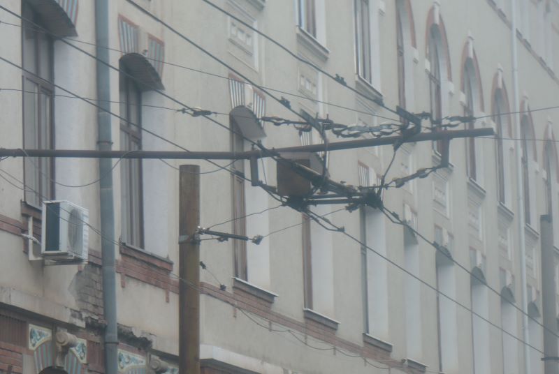 USAMV Bucuresti, 6-7 iunie 241.jpg