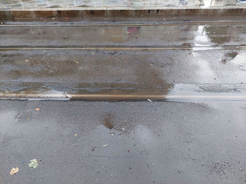 Bucuresti, 16 iulie 002.jpg