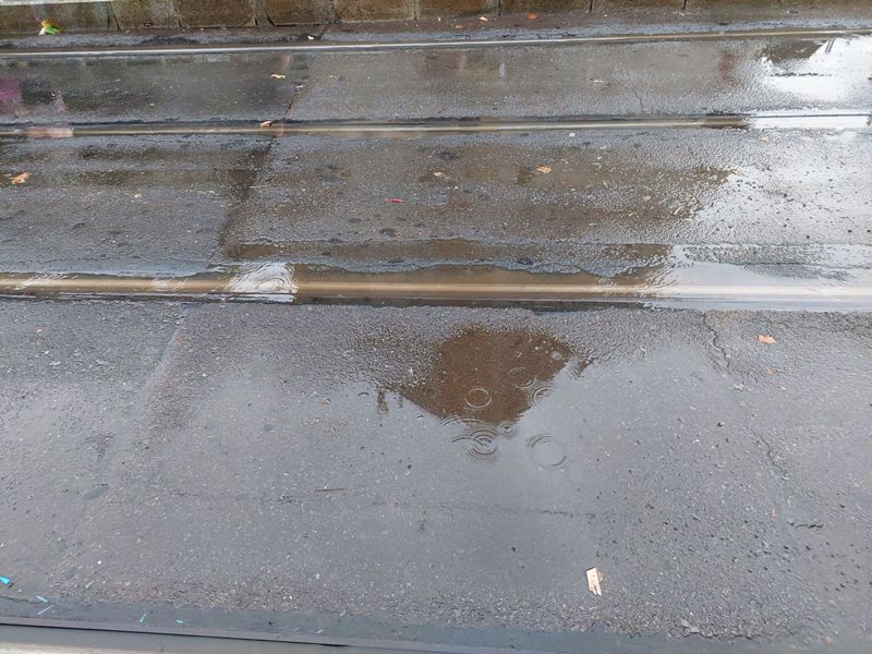 Bucuresti, 16 iulie 003.jpg