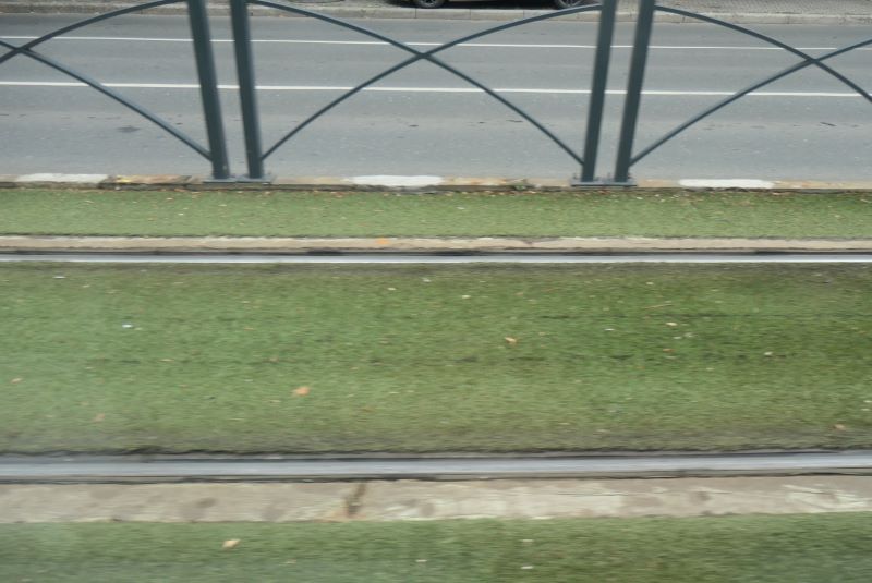 Bucuresti, 25 iulie 005.jpg