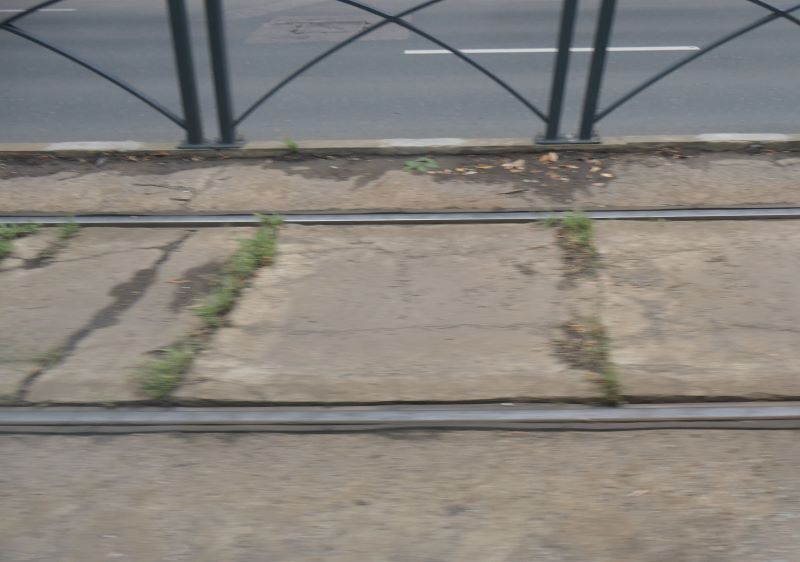 Bucuresti, 25 iulie 007.jpg