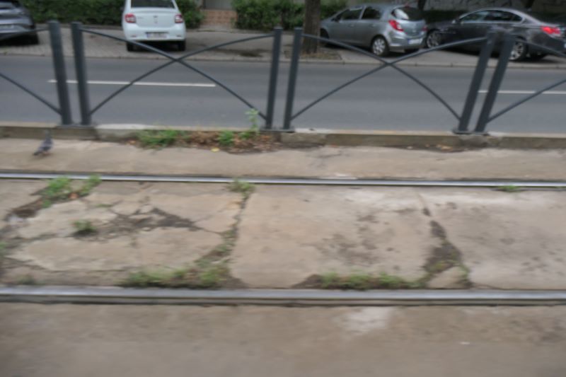Bucuresti, 25 iulie 009.jpg