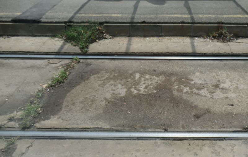 Bucuresti, 25 iulie 013.jpg